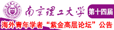 肏鸡巴视频南京理工大学第十四届海外青年学者紫金论坛诚邀海内外英才！